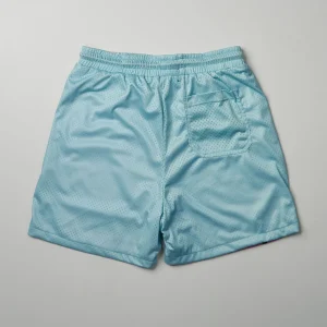 Cheap Blessings Mesh Shorts Shop All Bottoms | Shorts