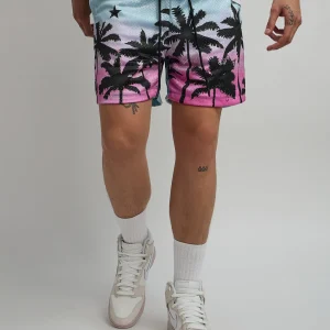 Cheap Blessings Mesh Shorts Shop All Bottoms | Shorts
